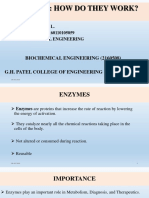 Enzymes-How Do They Work??