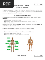 Guia Sistema Locomotor