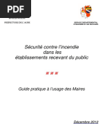 Les Risques Incendie Dans Les ERP (Guide Pratique À L'usage Du Maire) PDF