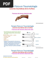 Lesiones Traumáticas de La Muñeca