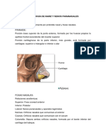 Semiología de Nariz y Senos Paranasales