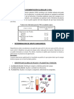 Velocidad de Segmentación Globular o VSG