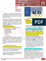 R1-04-F-15-02-Transporte - A - Traves - de - La - Membrana - Celular PDF