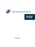 Captiva PDF