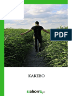 Kakebo PDF