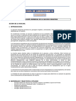 Practica 12. Regulacion Hormonal de Glicemia