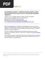 Salmonellosis in A Free-Ranging Population of Javelinas (Pecari Tajacu) in South Central Arizona