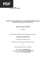 Final Thesis - Sainge - CPUT PDF