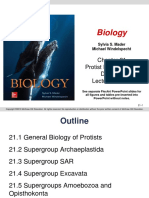 Biology: Protist Evolution and Diversity Lecture Outline