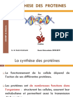 La Synthèse Des Protéines