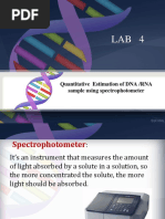 Lab 4 Gel Electrophoresis