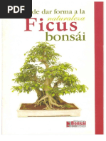 Ficus Bonsai PDF