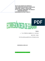 Ecorregión Delta de Guayana 