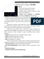 ACUPUNTURA. (Apostila) - Ba Gang PDF