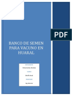 Banco de Semen - Informe Final