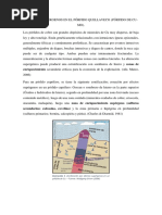 Zona de Enriquecimiento o Cementación