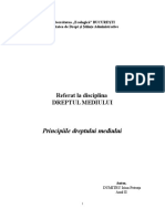 Dumitru Petruta - Principiile Dr. Med - Dreptul Mediului 1