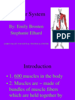 Muscular System: By: Emily Brosten Stephanie Elhard