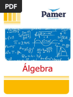 Álgebra 1er Año PDF