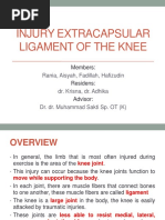 Injury Extracapsular Ligament of The Knee: Rania, Aisyah, Fadillah, Hafizudin