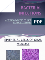 Actinomycosis, Tuberculosis, Leprosy, Syphilis, Noma