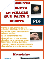 Experimento Huevo Saltarin