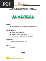 Informe Mavegsa 1