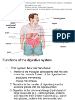 Physiology, Lecture 7, (GIT Tract) Salivary Gland Esophagus Vomiting Lecture (Slides)