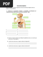 Guia Sistema Digestivo