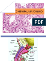 Histologia