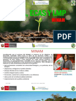 Pama, Ecas y LMP - Gestión Ambiental PDF