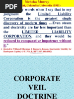 Lifting of Corporate Law