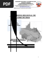 BASE-DIRECTIVA-GOREMAD Ultimo Trabajo 24 de Octubre 7pm