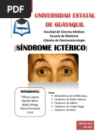 Síndrome Ictérico