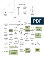 Penyimpangan KDM Chronic Kidney Disease