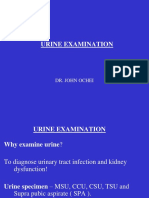 Urine Examination