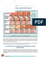 05 Determinar La Edad Gestacional