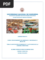 Laboratorio N°1 Porcesamiento de Minerales-2019