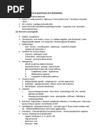 Gram Negative Coccus