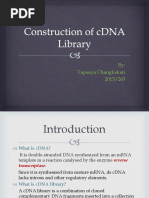 Construction of cDNA Library