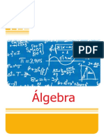 Algebra 1° Año Secundaria PDF