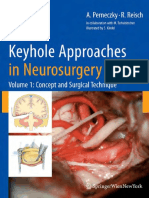 Keyhole Approaches in Neurosurgery PDF