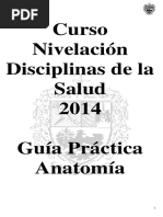 Guias Curso Ingreso 2014 PDF