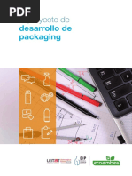 Desarrollo Packaging PDF