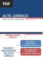 Nulidad y Anulabilidad Del Acto Juridico