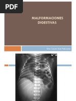 Malformaciones Digestivas