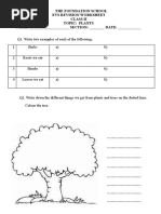 Plants Worksheet 2