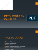 Patologias en Canales