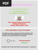 Shikimic Acid Pathway: Dr. Md. Rageeb Md. Usman Associate Professor Department of Pharmacognosy