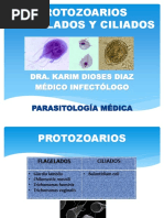 Protozoarios Flagelados Y Ciliados: Dra. Karim Dioses Diaz Médico Infectólogo